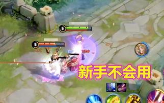 教官爆料凤求凰视频,凤求凰视频背后的惊人真相  第2张